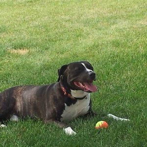 Meet your Posher, Mike